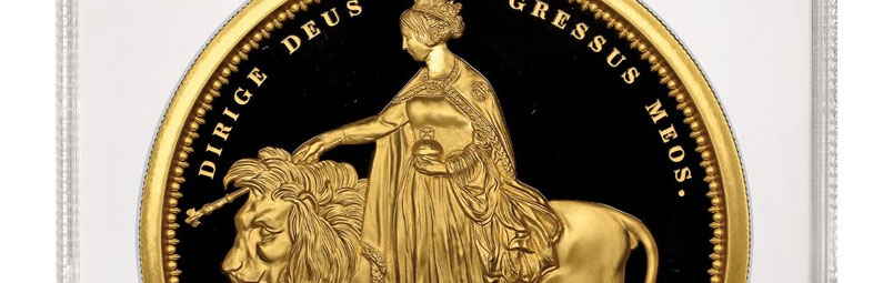 Massive Gold Rarity Roars